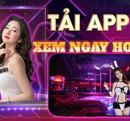 Hướng Dẫn Cách Tải 567 Live APK Chi Tiết Và Đơn Giản Cho Người Dùng Mới